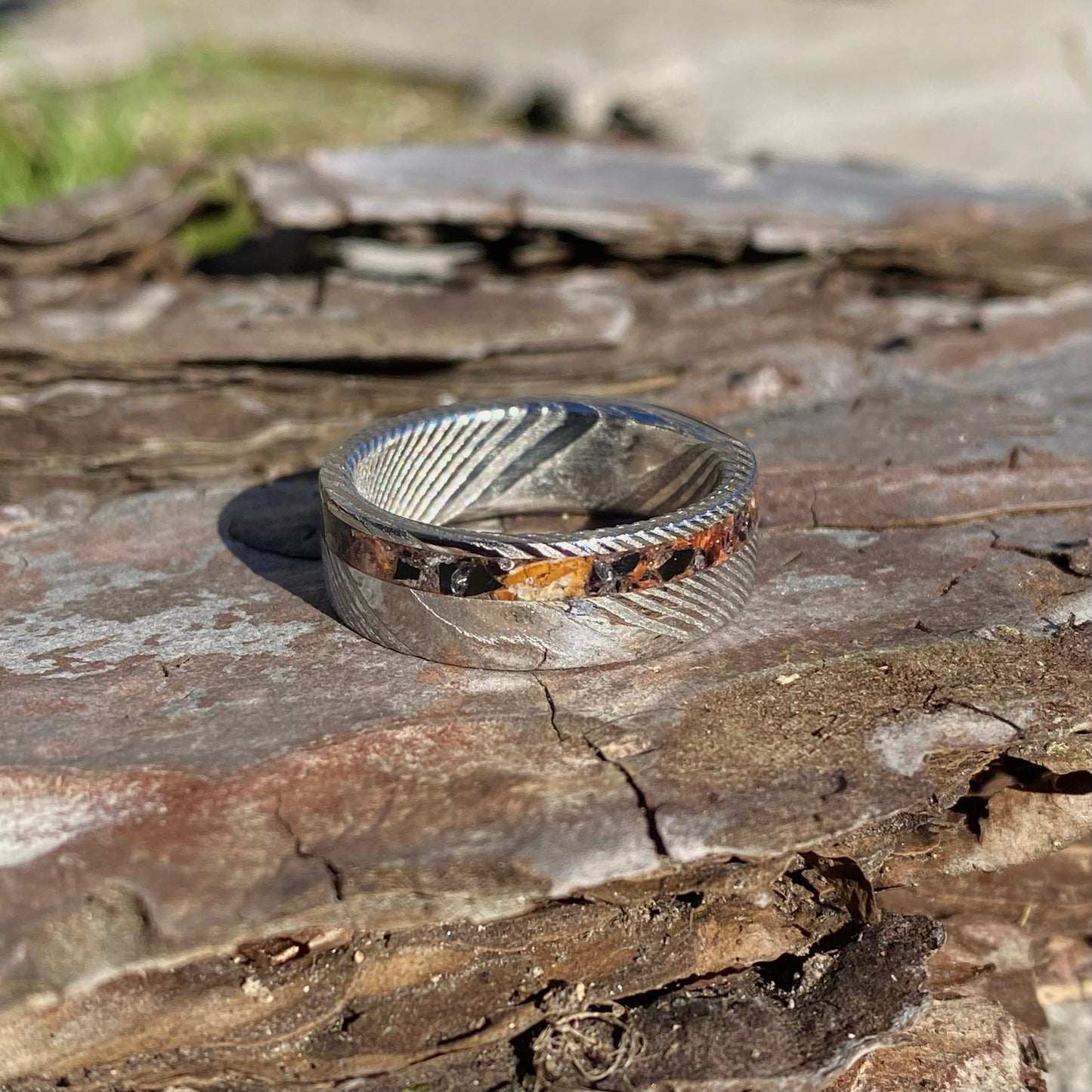 Anello di Spinosauro fossile (dente) ed Ossidiana