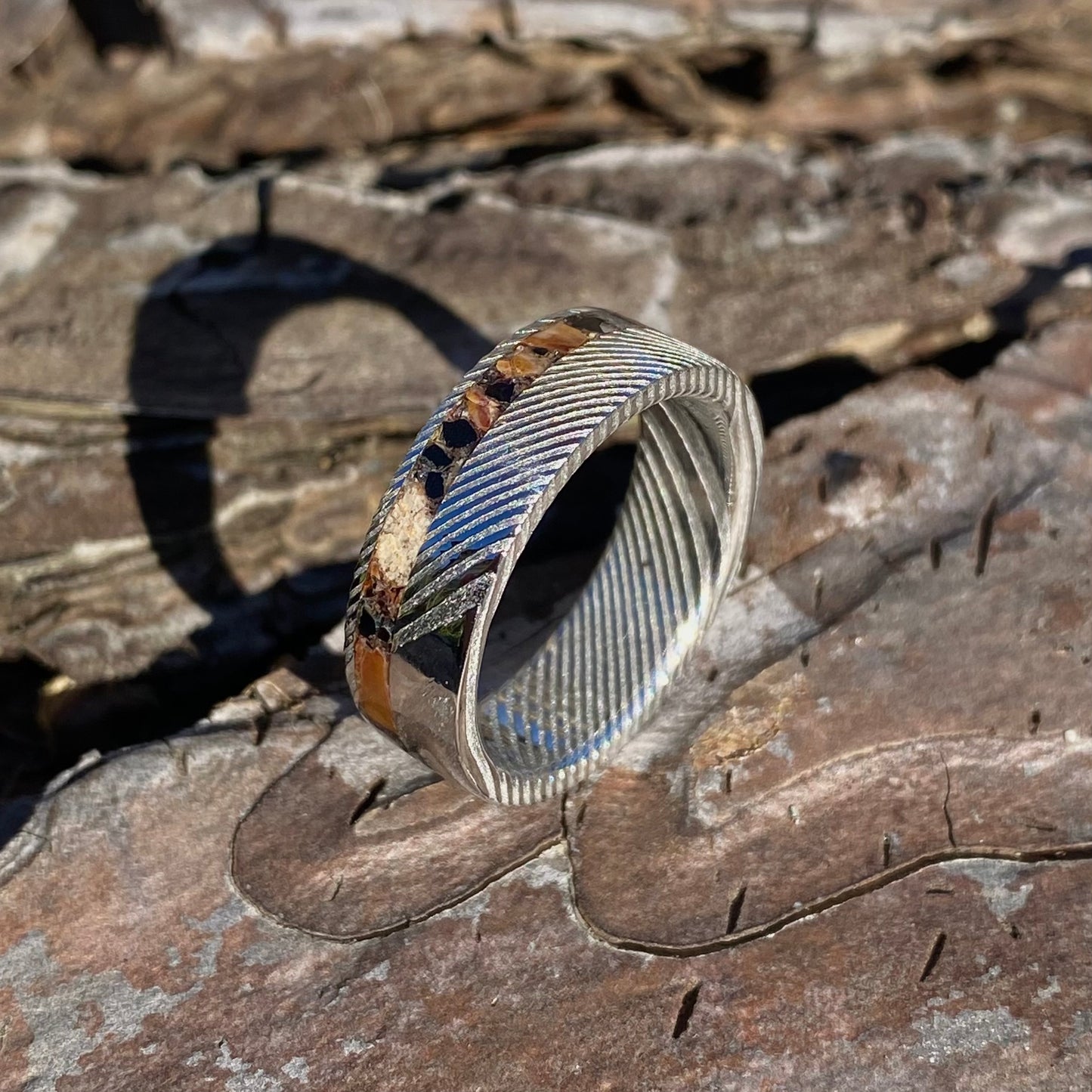 Anello di Spinosauro fossile (dente) ed Ossidiana