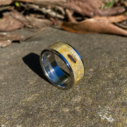 Anello di Ambra Fossile con Inclusioni di Insetti