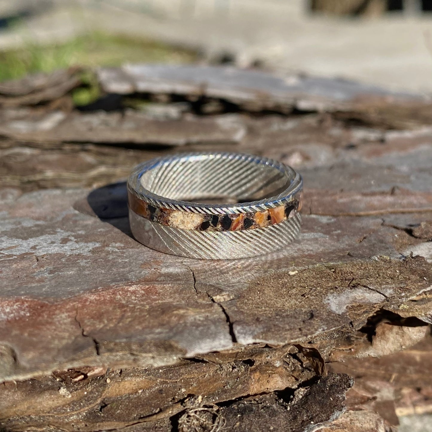 Anello di Spinosauro fossile (dente) ed Ossidiana