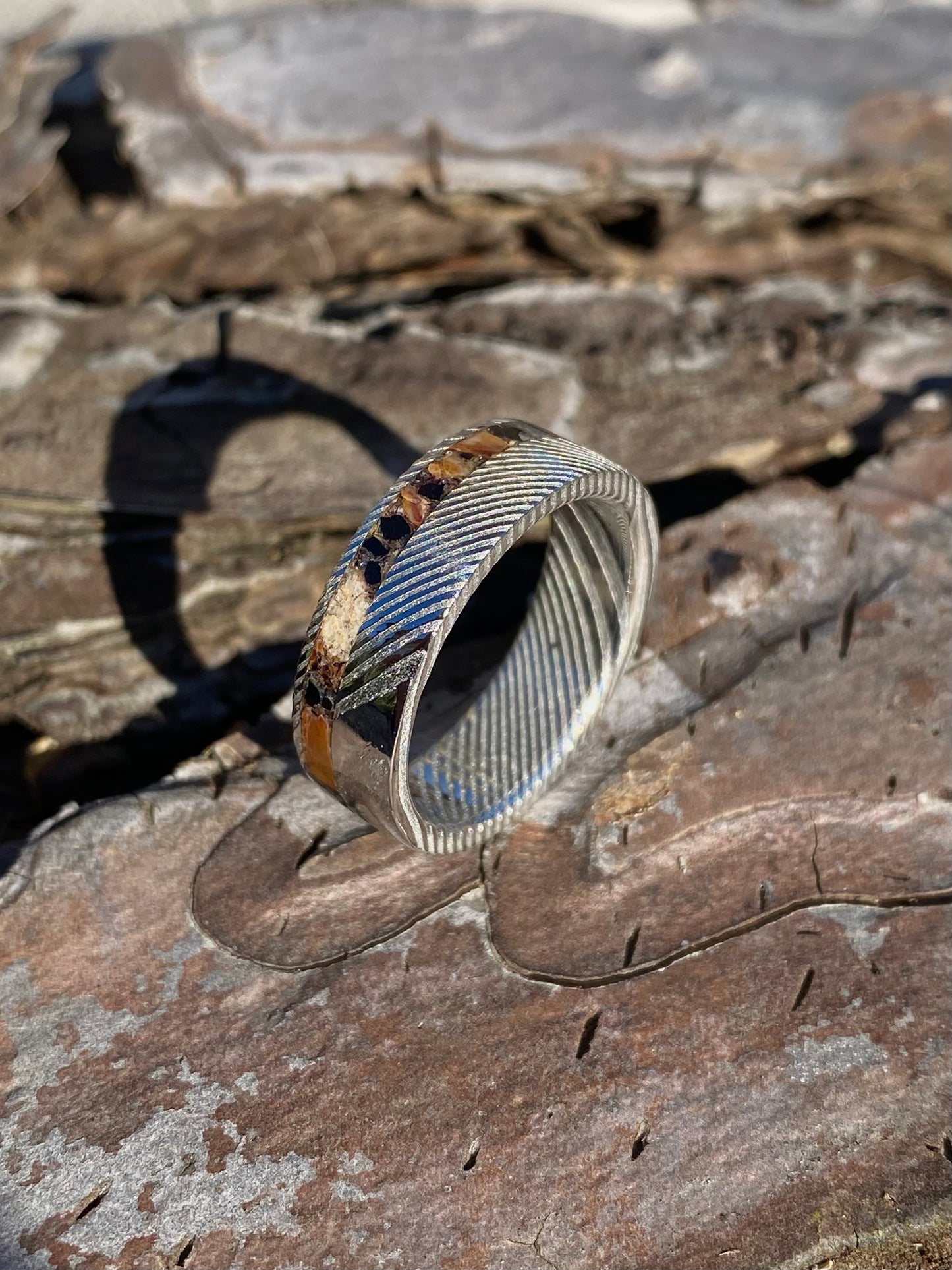 Anello di Spinosauro fossile (dente) ed Ossidiana