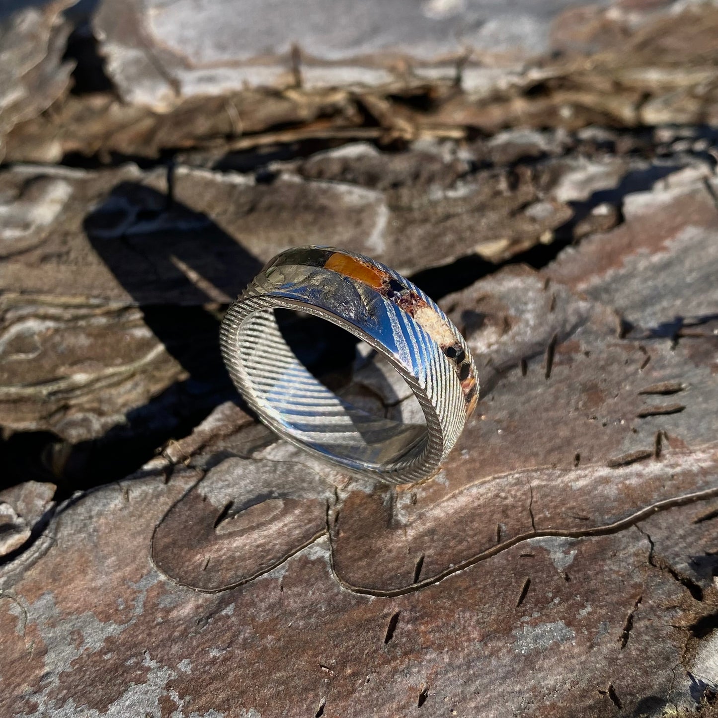 Anello di Spinosauro fossile (dente) ed Ossidiana