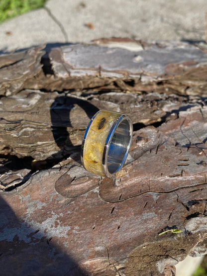 Anello di Ambra Fossile con Inclusioni di Insetti