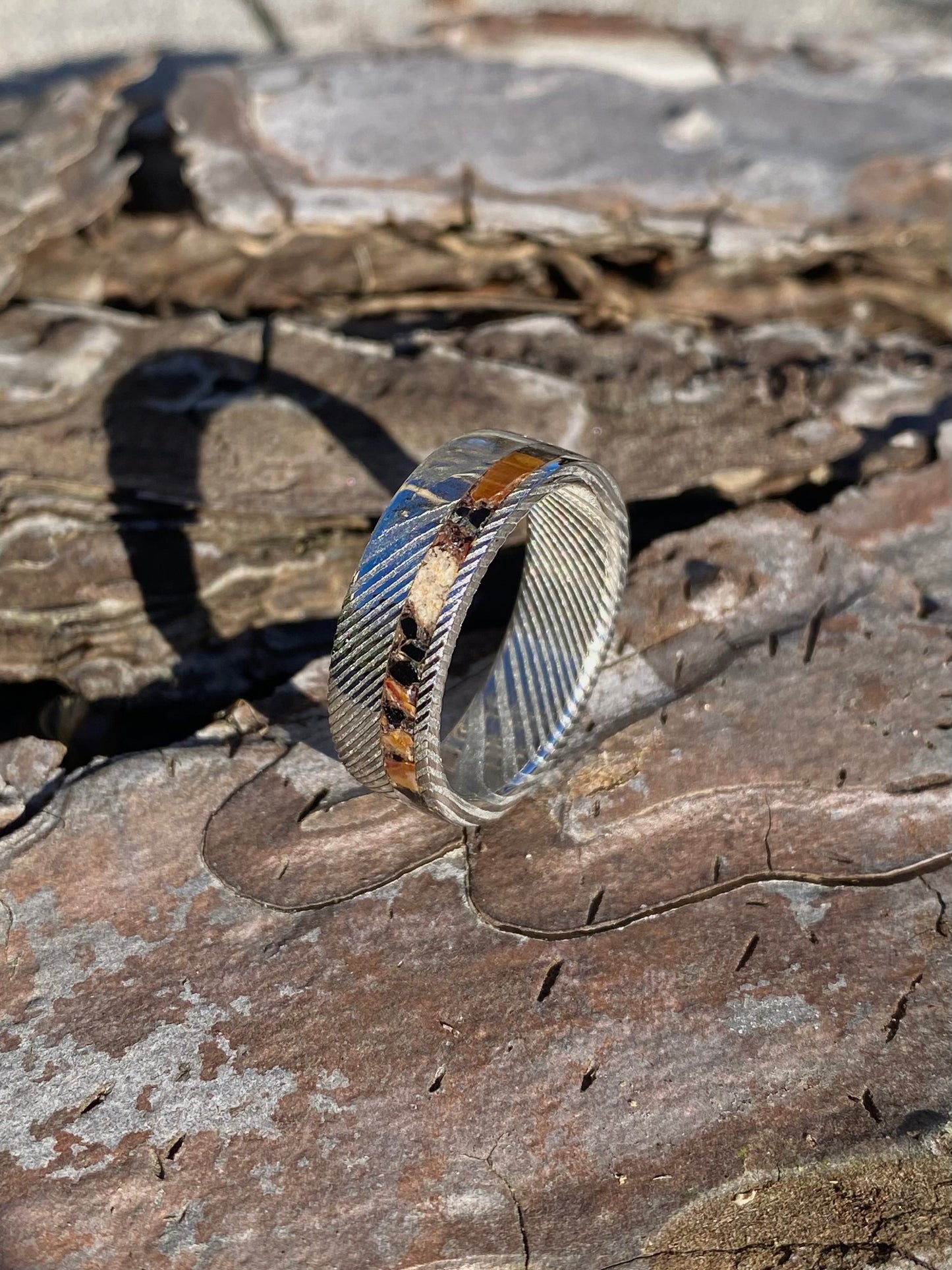 Anello di Spinosauro fossile (dente) ed Ossidiana