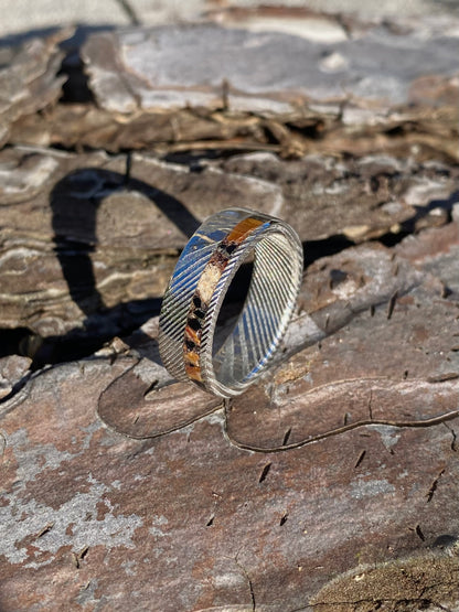 Anello di Spinosauro fossile (dente) ed Ossidiana