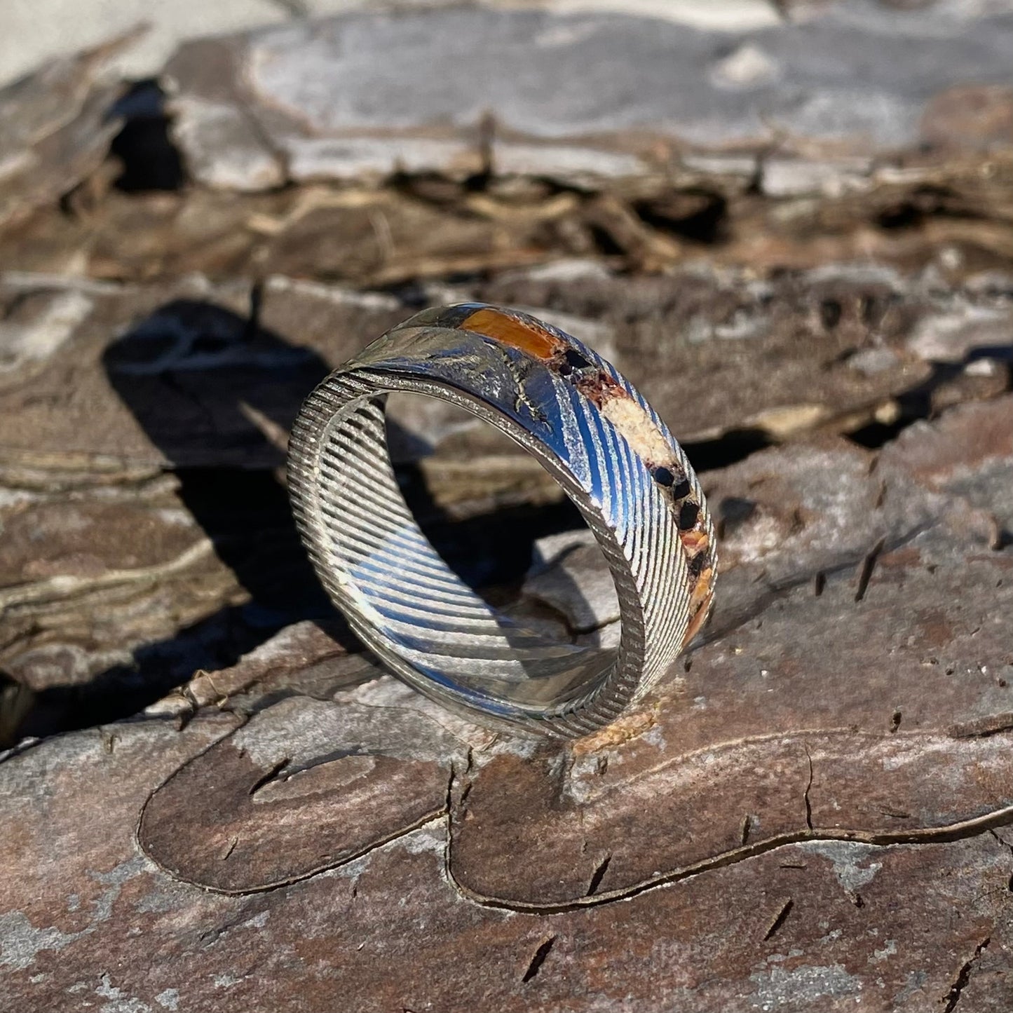 Anello di Spinosauro fossile (dente) ed Ossidiana