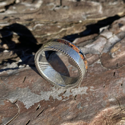 Anello di Spinosauro fossile (dente) ed Ossidiana