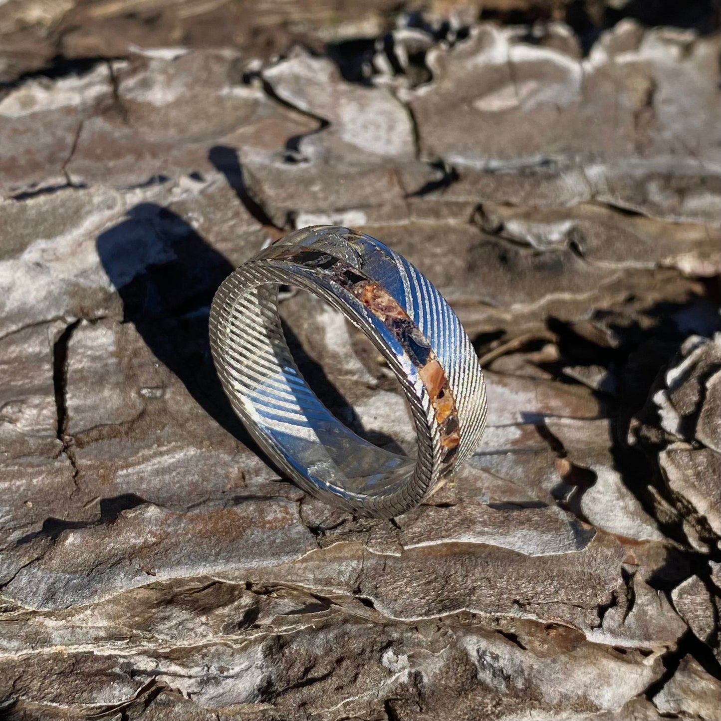 Anello di Spinosauro fossile (dente) ed Ossidiana