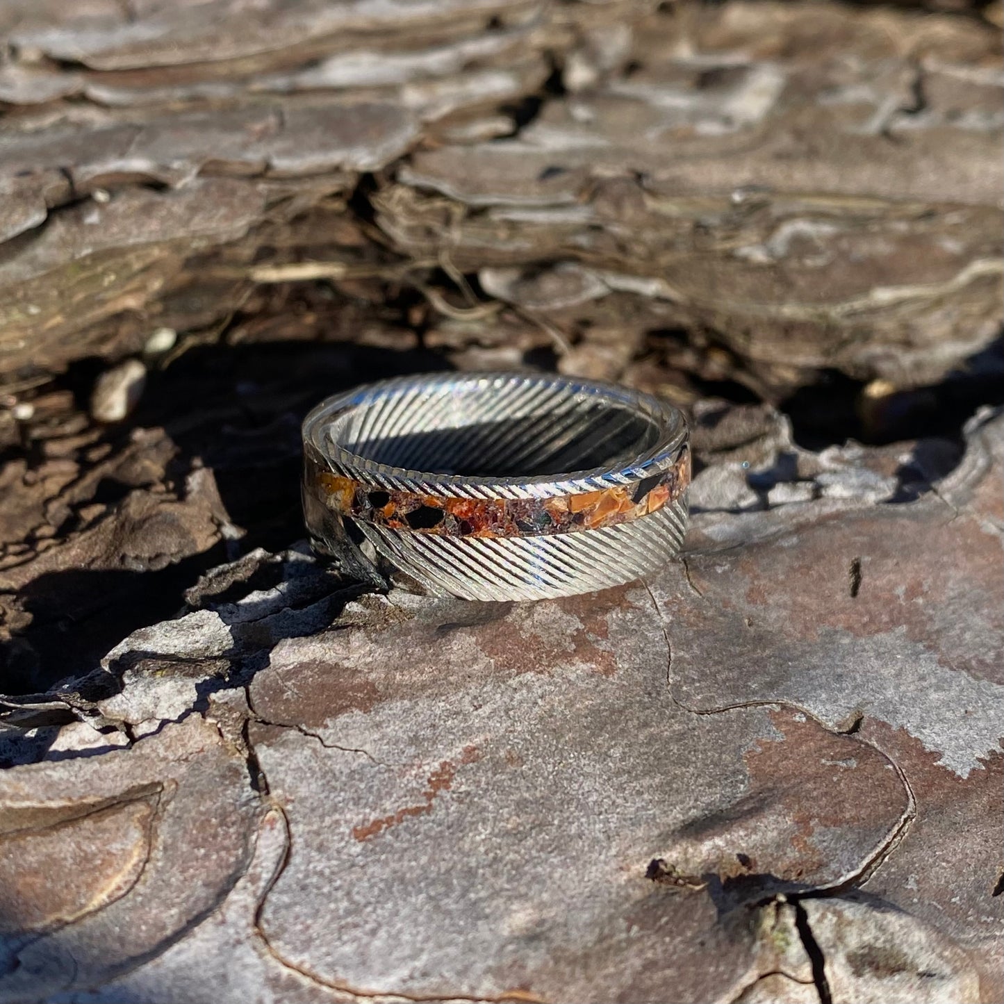 Anello di Spinosauro fossile (dente) ed Ossidiana