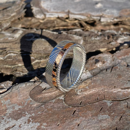 Anello di Spinosauro fossile (dente) ed Ossidiana