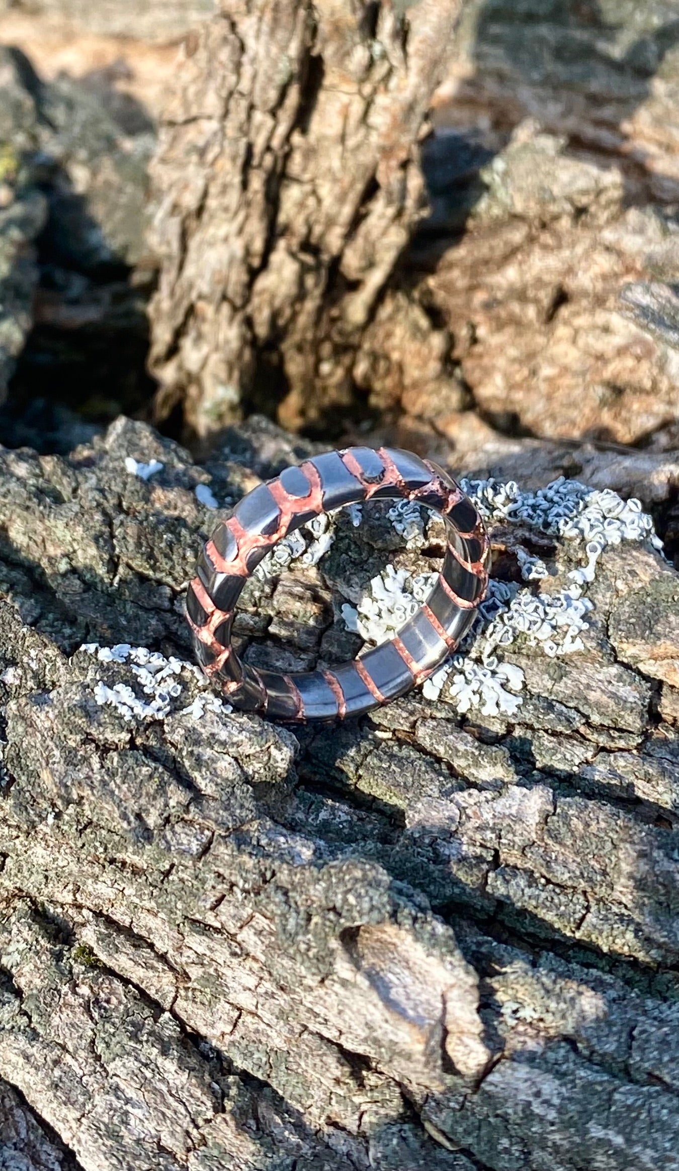 Anello di Superconduttore