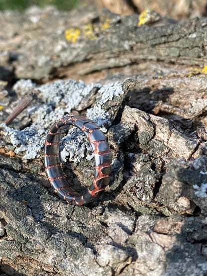 Anello di Superconduttore